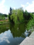 DSC05493
