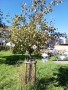 IMG_20250919_142124