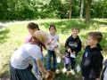 IMG_20250529_140352