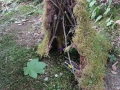 IMG_20250623_153258