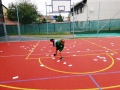 IMG_20250917_142209