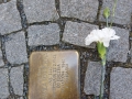 IMG_20250429_083720