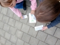 IMG_20260414_141121509_MFNR