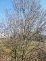 IMG_20260306_132029