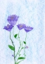 SCN_20260506_204146