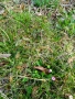 DSC09235