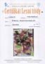 SCN_20260515_203156