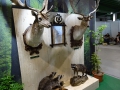 DSC09390