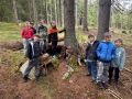 IMG-20260512-WA0113