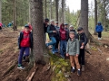 IMG-20260512-WA0121